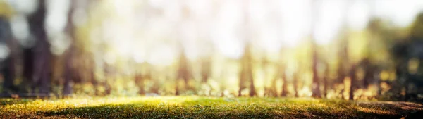 Lesní Rozmazané Panorama Krásná Zelená Krajina Příroda Pozadí — Stock fotografie