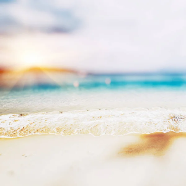 Tropical Perdido Playa Verano Fondo — Foto de Stock