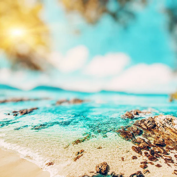 Tropical Perdido Praia Verão Fundo — Fotografia de Stock