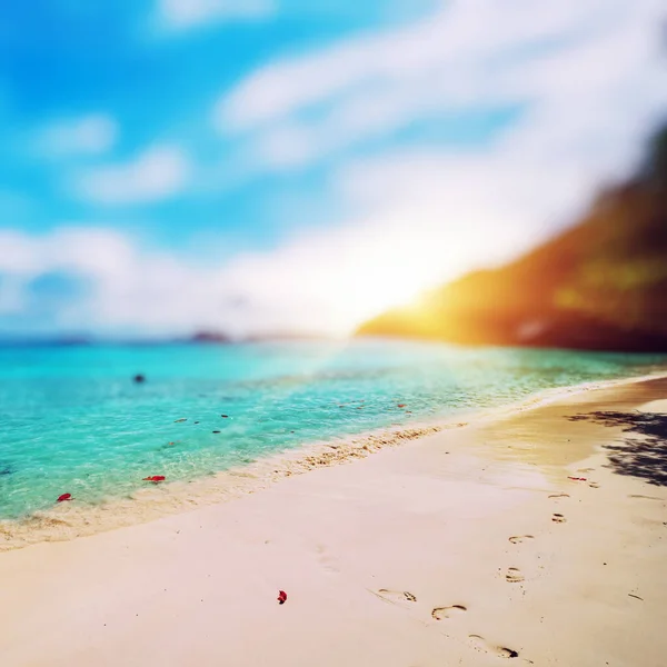 Playa Del Paraíso Caribeño Sol Tropical — Foto de Stock