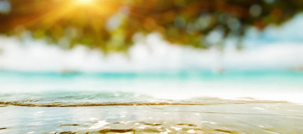 Tropical Caribbean Paradise Panorama Background — Stock Photo, Image