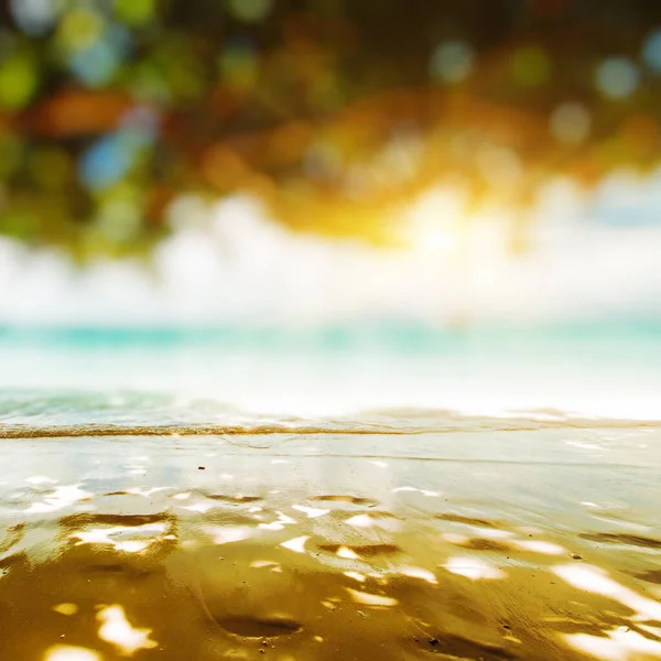 Caribbean Tropical Paradise Beach Bokeh Background — Stock Photo, Image
