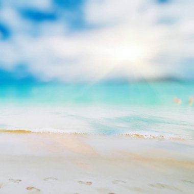 Tropik kayıp plaj yaz arkaplanı