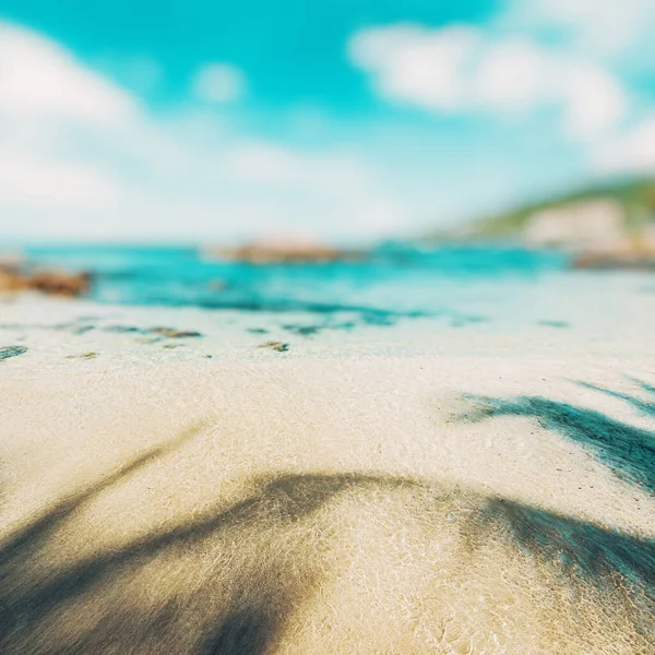 หาดทรอป คอลโอเช พาราไดซ แคร บเบ — ภาพถ่ายสต็อก