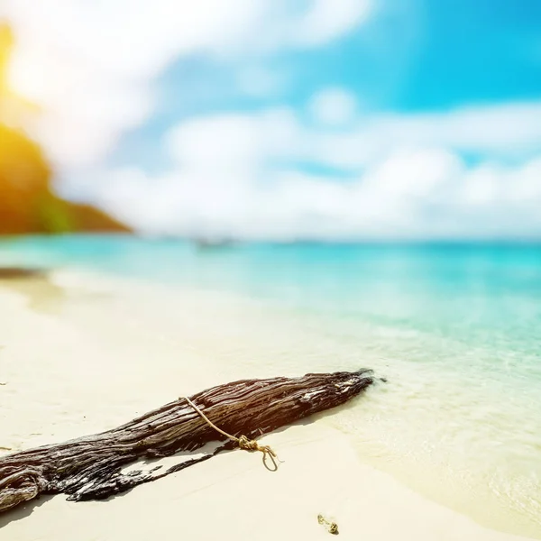 Praia Paraíso Caribe Sol Tropical — Fotografia de Stock
