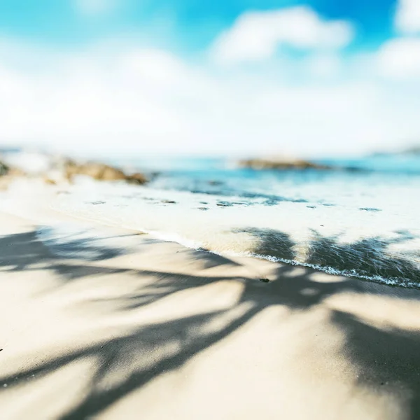 Spiaggia Tropicale Dell Oceano Paradiso Dei Caraibi — Foto Stock