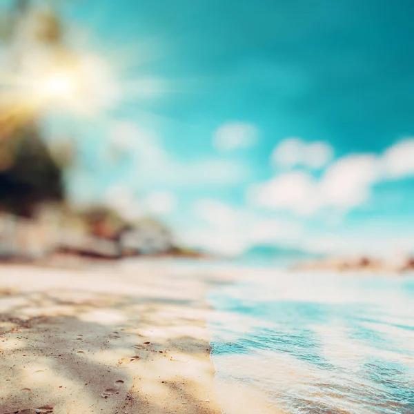 Tropical lost beach summer background