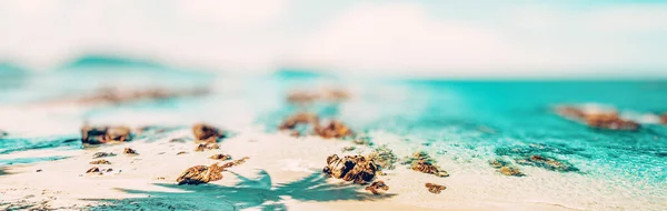 Caribbean Paradise Island Simple Background — Stock Photo, Image