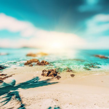 Tropik kayıp plaj yaz arkaplanı