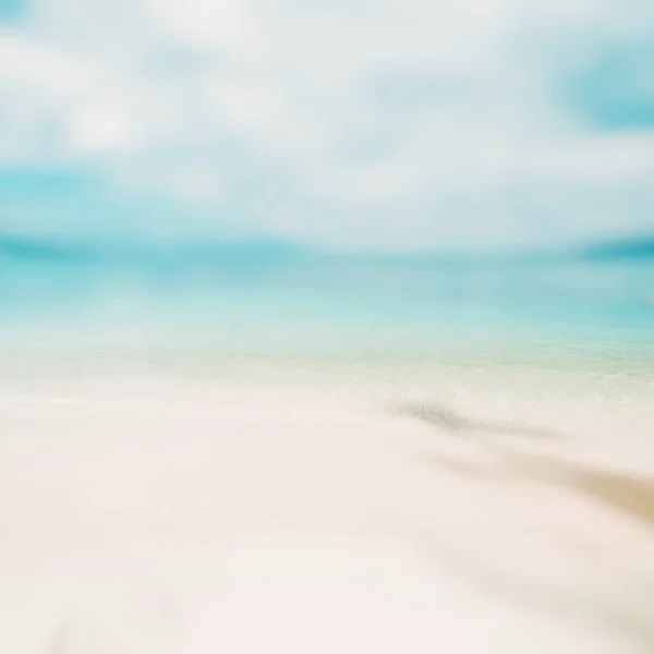 Tropisch Oceaanstrand Caribisch Paradijs — Stockfoto