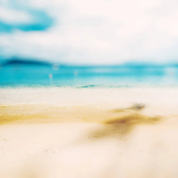 Tropischer Ozeanstrand Karibisches Paradies — Stockfoto