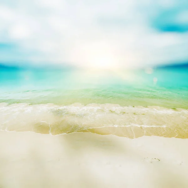 Тропический Потерянный Пляж Летний Фон — стоковое фото