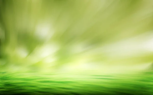 Зелена Трава Розмиває Природний Фон Літо — стокове фото