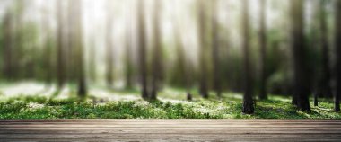 Orman. Vahşi bitkiler ve ağaçlar. Ekoloji panorama