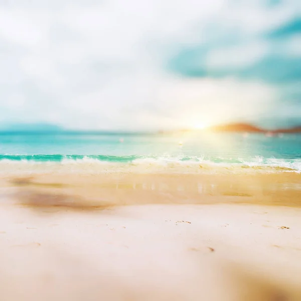 Tropisk Förlorad Strand Sommar Bakgrund — Stockfoto