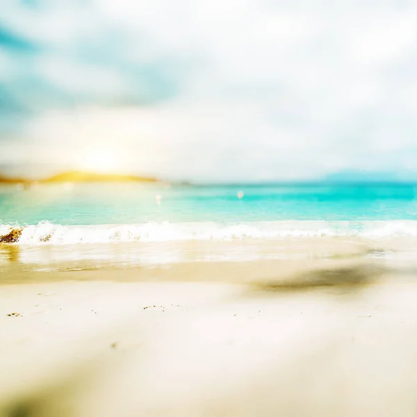 Tropicale Perso Spiaggia Estate Sfondo — Foto Stock
