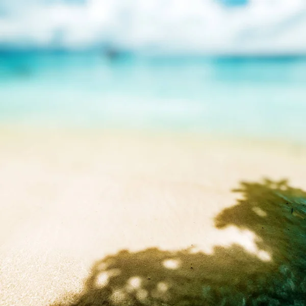 Tropical Lost Beach Ocean Coastline — Stock Photo, Image