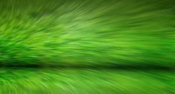 Yeşil Çimen Hareketi Doğal Arka Planı Bulanıklaştırır Yaz — Stok fotoğraf