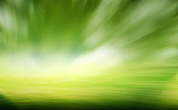 Зелена Трава Розмиває Природний Фон Літо — стокове фото