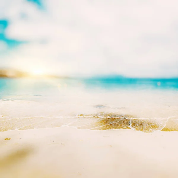 Tropical Lost Beach Summer Background — Stock Photo, Image