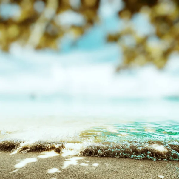 Τροπική Παραλία Καλοκαιρινό Φόντο — Φωτογραφία Αρχείου