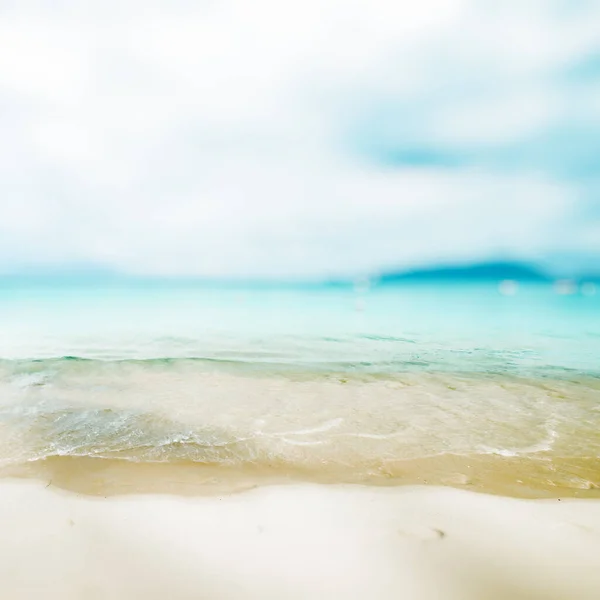 Пляж Тропічного Океану Карибський Рай — стокове фото