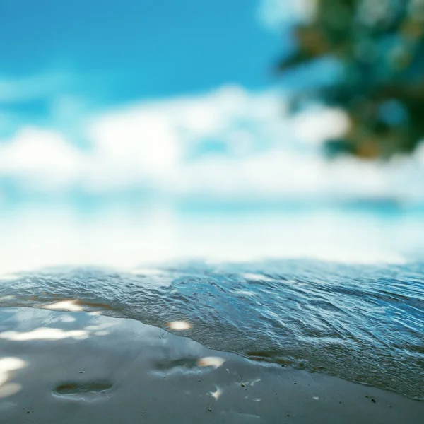 Karaiby Raj Plaża Tropikalny Ocean — Zdjęcie stockowe