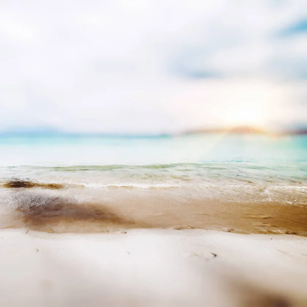 Тропічний Втрачений Пляжний Літній Фон — стокове фото