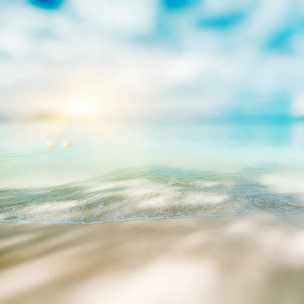 熱帯失われたビーチの夏の背景 — ストック写真