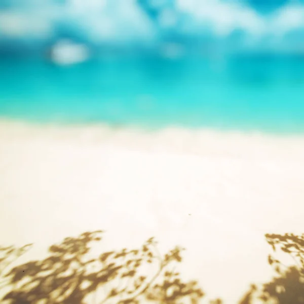 Τροπική Παραλία Καλοκαιρινό Φόντο — Φωτογραφία Αρχείου