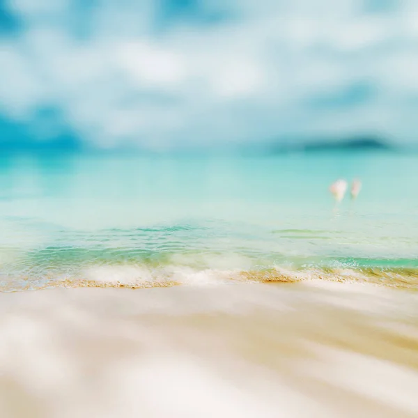 Playa Tropical Del Océano Paraíso Caribeño — Foto de Stock
