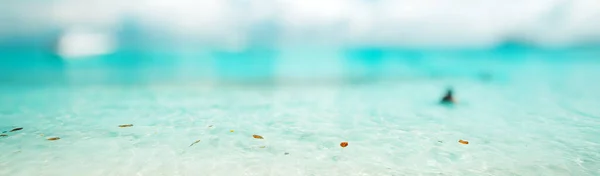 Natur Reisen Tropischen Ozean Strand — Stockfoto