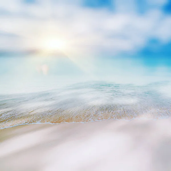 Tropischer Verlorener Strand Sommer Hintergrund — Stockfoto