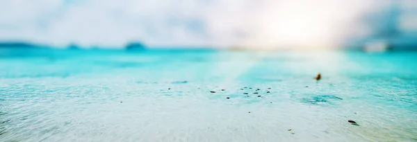 Тропічна Морська Хвиля Пляж Відкритому Повітрі — стокове фото