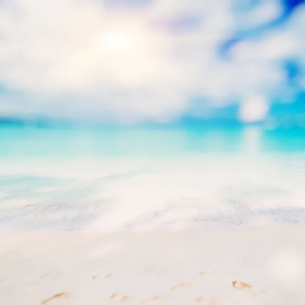 Tropicale Perso Spiaggia Estate Sfondo — Foto Stock