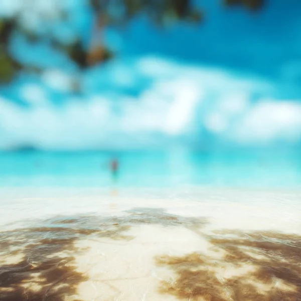 Strand Karibischen Paradies Tropischer Ozean — Stockfoto