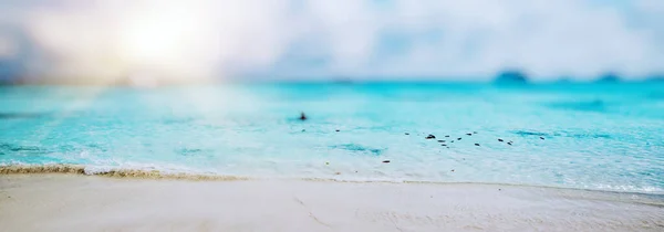 Waas Tropisch Strand Eenvoudige Achtergrond — Stockfoto