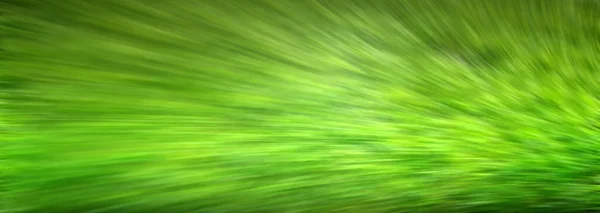 Grön Gräs Rörelse Suddar Naturlig Bakgrund Sommar — Stockfoto