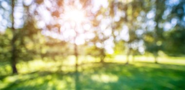 Bahar güneş ışığı arka plan bulanıklık. Soyut doğa manzara