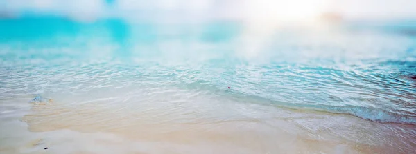 Океанська Тропічна Хвиля Літнє Сонце — стокове фото