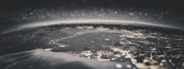 Hindistan siyah ve beyaz. Bu görüntünün elementleri NASA tarafından döşenmiştir. 3d oluşturma