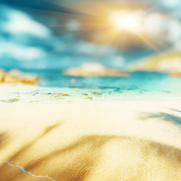 Tropical lost beach summer background