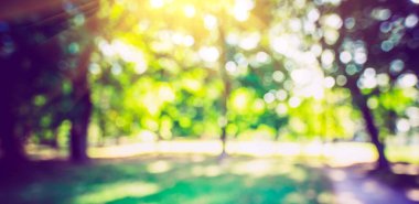 Yaz soyut bulanık doğası. Park gündoğumu arka planı