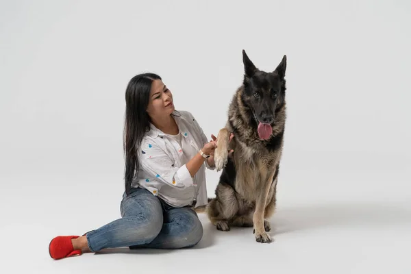 Smart Dog Gives Paw Owner Pretty Woman Eastern European Shepherd — Stock Photo, Image
