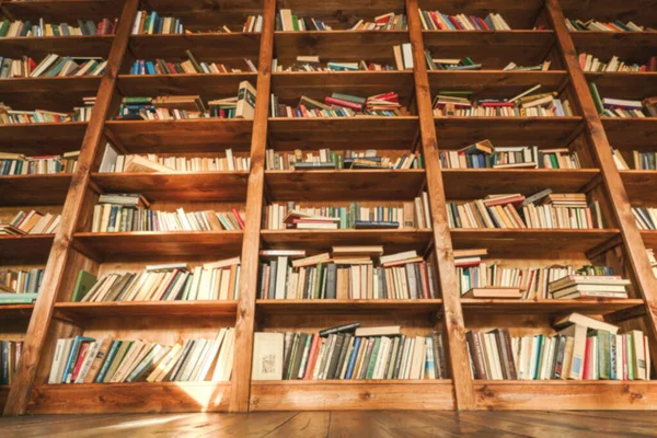 Pustaka Vintage Dengan Pemandangan Bawah Perpustakaan Shell Menampilkan Buku Shabby — Stok Foto