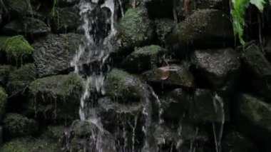 Yağmur ormanlarında taşların üzerinde akan küçük dere. Tamamen doğal su konsepti.