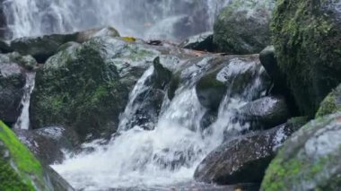 Taşlarla akan temiz dağ nehri. Tatlı su kavramı