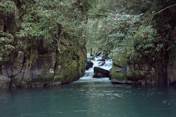 Small Waterfall Creek Running Forest Lake — Stock Fotó