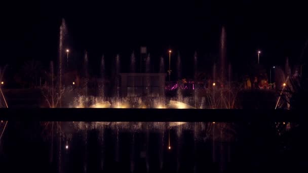 Fountain Night Batumi Georgia — ストック動画