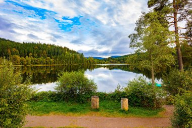 Buzul Gölü Wingdfaller See 'nin yanında iki pitoresk kütük. Almanya, Schwarzwald. Bulutlar ve kıyı ormanı berrak ve pürüzsüz sulara çok güzel yansıyor. Serin sonbahar.